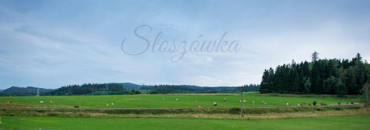 Sloszowka